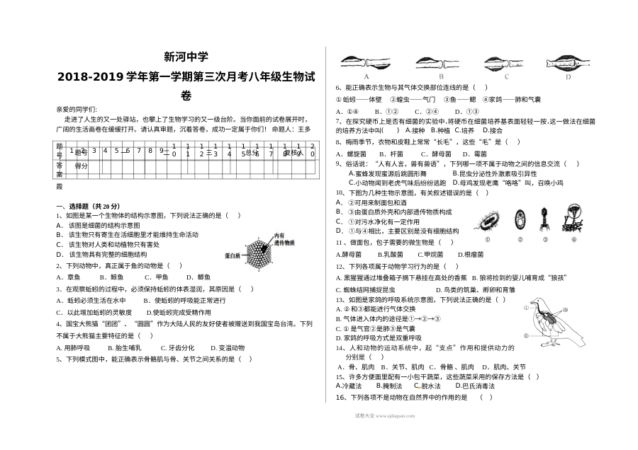人教版八年级生物上学期第三次月考试卷（新河中学）