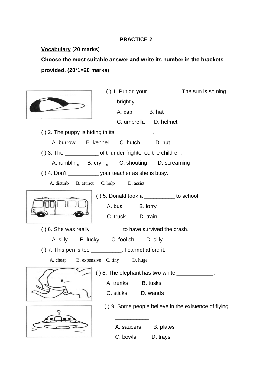新加坡小学二年级英语试卷PRACTICE 2