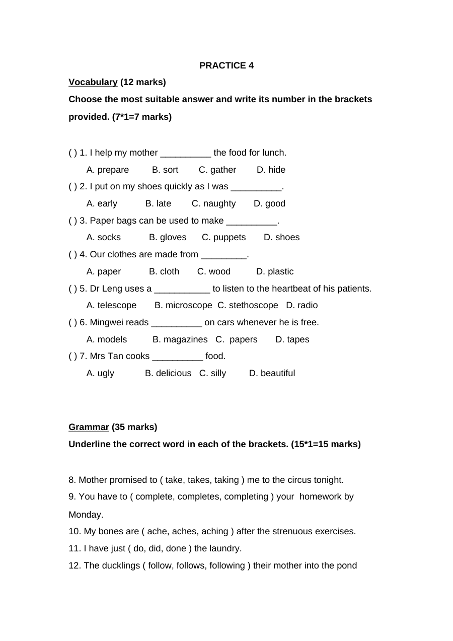 新加坡小学二年级英语试卷PRACTICE 4