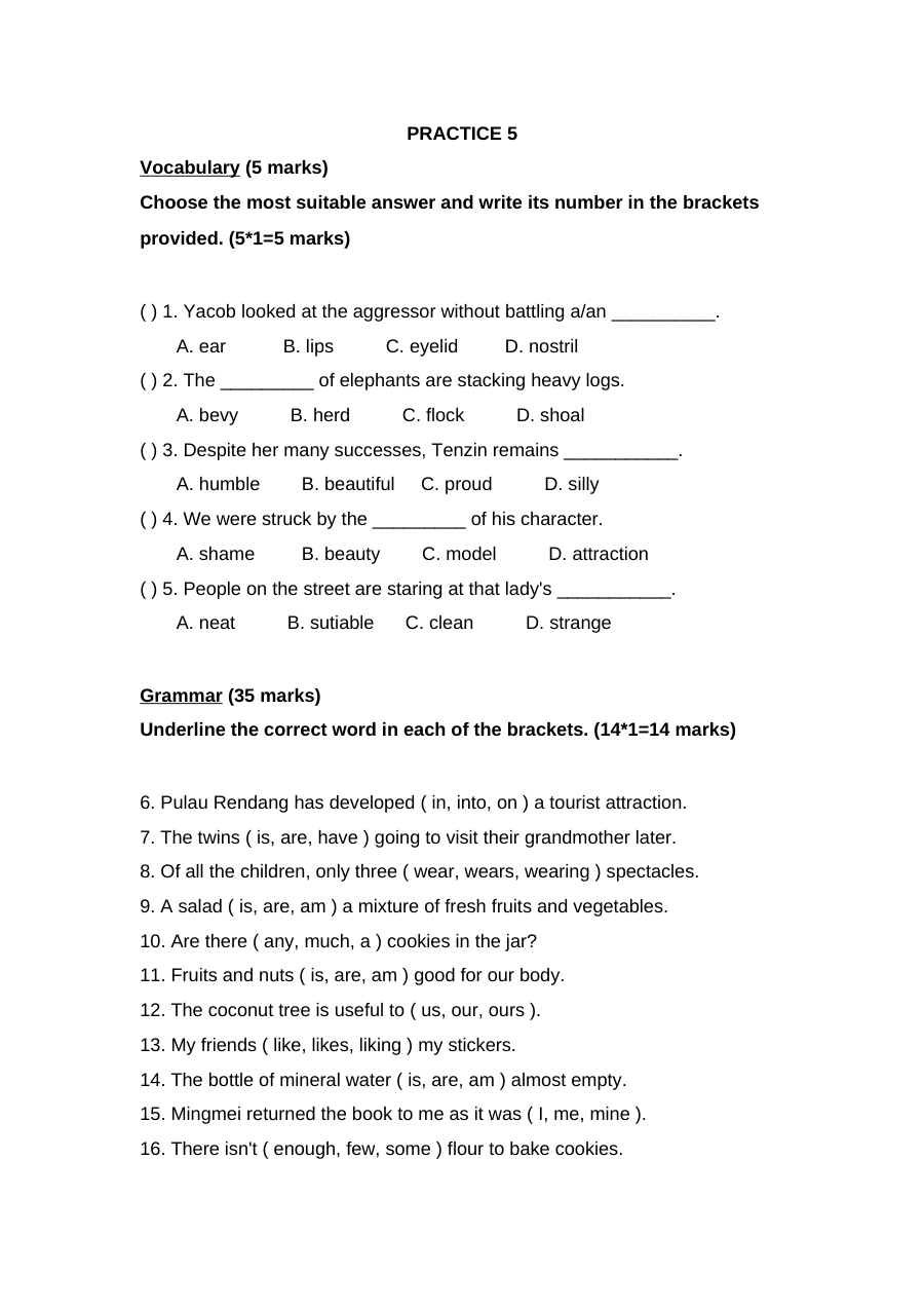 新加坡小学二年级英语试卷PRACTICE 5