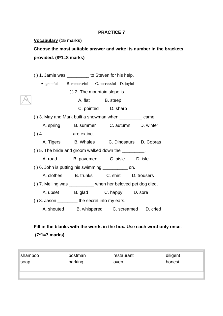 新加坡小学英语二年级试卷PRACTICE 7