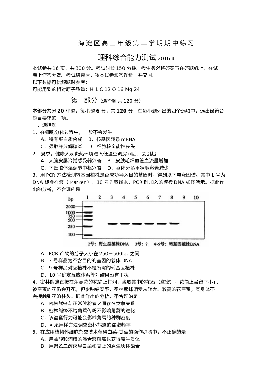 北京市海淀区2024届高三下学期期中练习理科综合试卷（物理部分）及答案