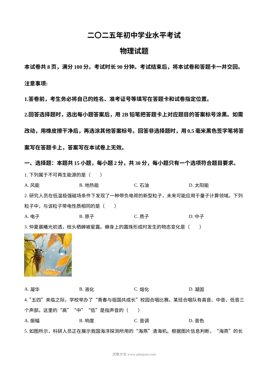 2025年山东省中考物理真题（人教版·初三）
