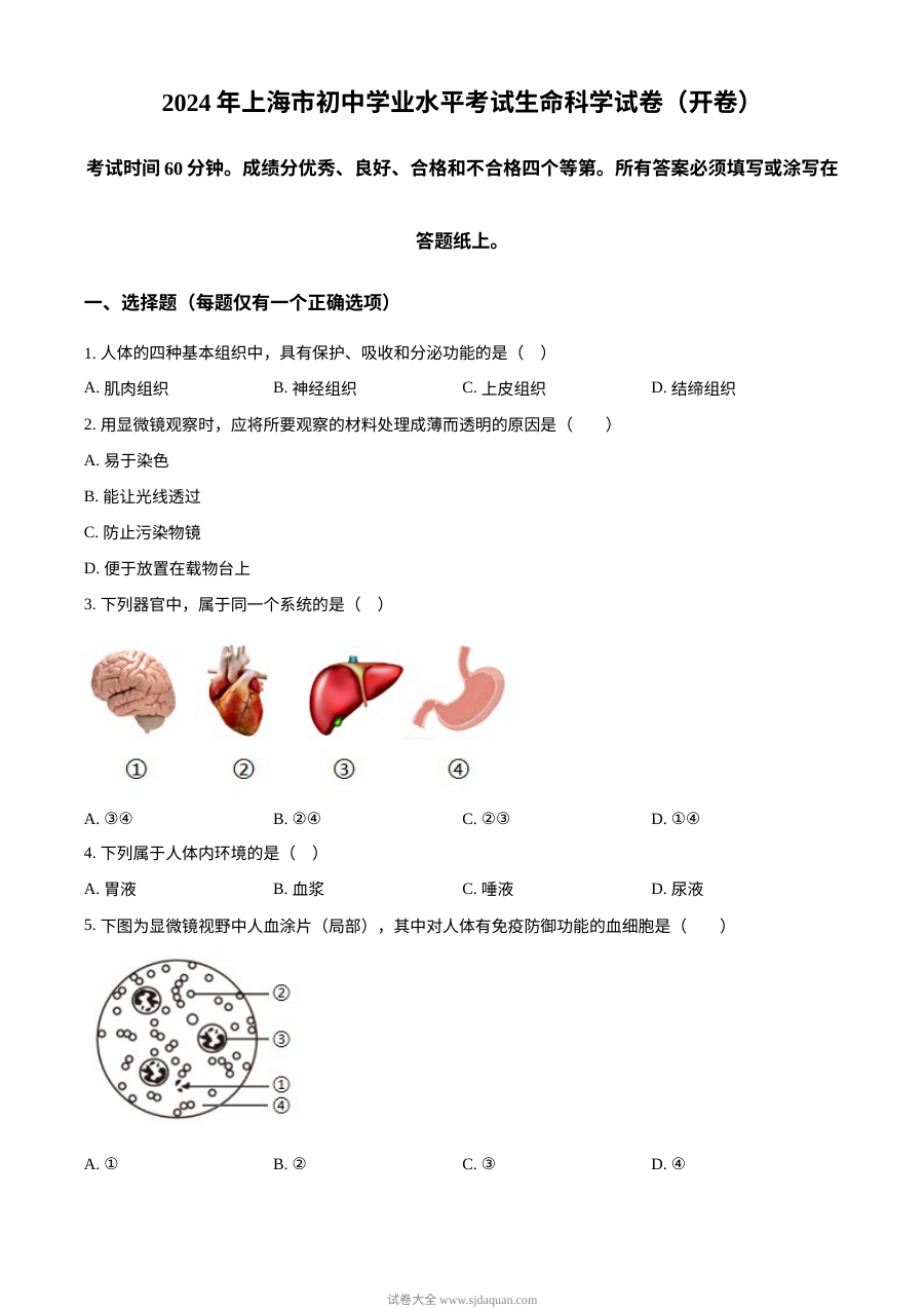 2024年上海市中考生物真题试卷（人教版）