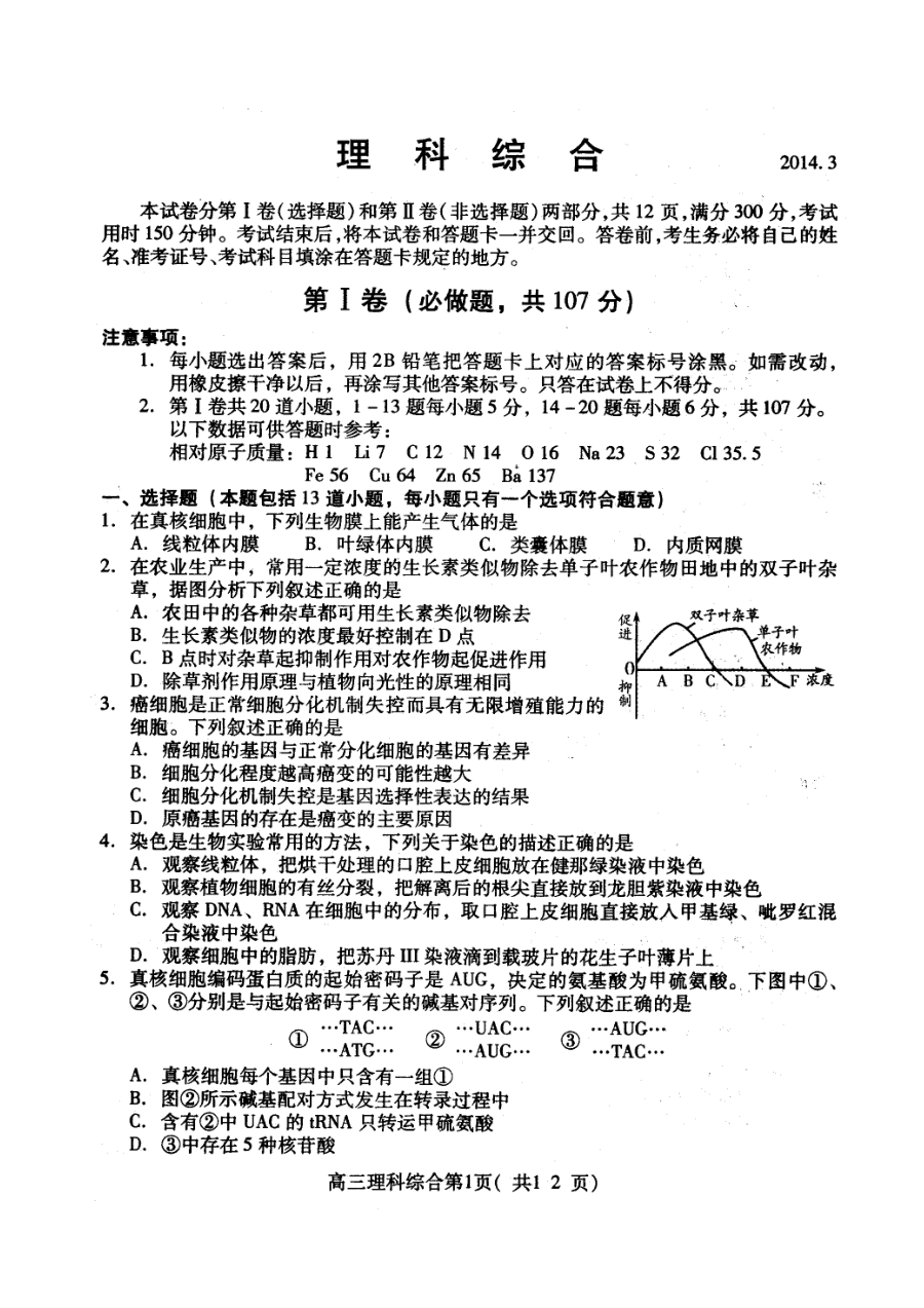 山东省潍坊市高三第一次模拟考试理科综合物理试题（人教版）