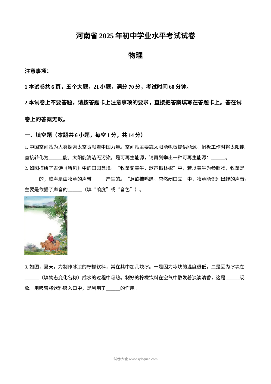 2025年河南省中考物理真题试卷（人教版·初三）