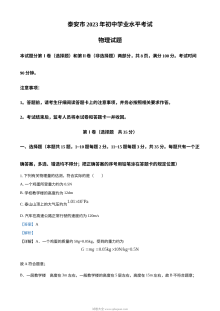 2023年山东省泰安市中考物理真题（人教版·解析版）