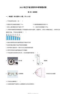 2023年辽宁省沈阳市中考物理真题（原卷版·人教版）