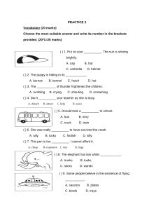 新加坡小学二年级英语试卷PRACTICE 2