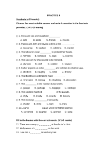 新加坡小学英语二年级试卷PRACTICE 9