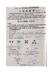 济南市槐荫区2016-2017学年第二学期七年级数学期末试题及答案