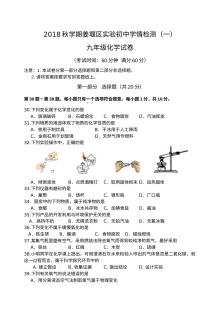 2018年秋季姜堰实验中学九年级化学第一次月考试卷（沪教版）