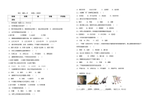 人教版初一历史下册第一单元测试卷（含答案）