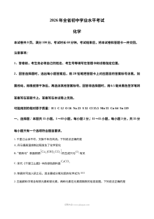 2026年山东省中考化学真题试卷（人教版）