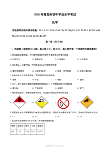 2026年山东省青岛市中考化学真题试卷（人教版）