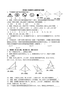 苏科版八年级数学上册期中复习试题