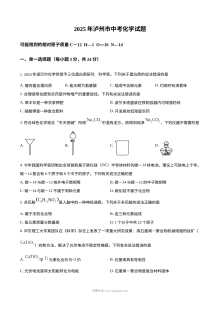 2025年四川省泸州市中考化学真题（人教版）