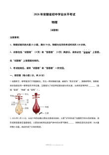 2026年安徽省中考物理真题试卷（人教版·初三学业水平考试）