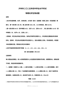 2025年四川省泸州市中考物理真题试卷（人教版·初三）