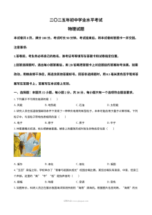 2025年山东省中考物理真题（人教版·初三）
