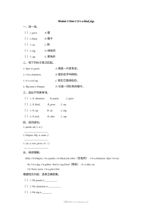 2021年外研版小学三年级英语上册Module4 Unit2同步练习题（含答案）