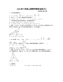 人教版八年级上册数学总复习试卷（八）