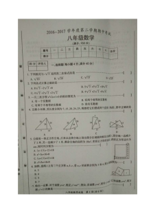 安徽省明光市2016-2017学年第二学期八年级数学期中考试试卷（含答案）