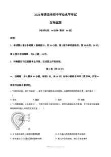 2024年山东省青岛市中考生物真题（人教版）