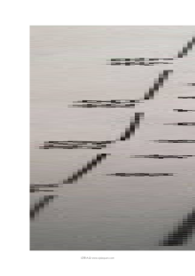 江西省八年级下学期第三次联考道德与法治试卷（人教版，含答案）