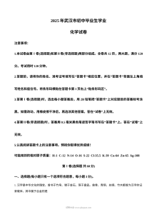 2025年湖北省武汉市中考化学真题（人教版）