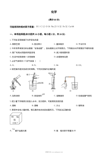 2024年新疆维吾尔自治区初中学业水平考试化学真题（人教版）