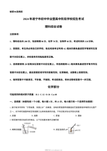 2024年四川省遂宁市中考化学真题（人教版）