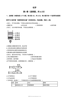 2024年四川省成都市中考化学真题（人教版）