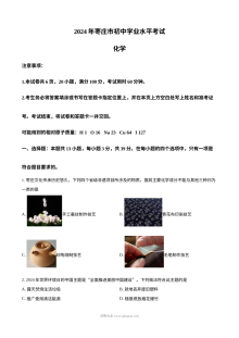 2024年山东省枣庄市中考化学真题（人教版）