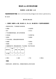 2024年山东省青岛市中考化学真题（人教版·初三）
