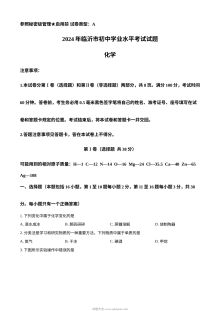 2024年山东省临沂市初中学业水平考试化学真题（人教版）