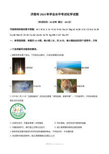 2024年山东省济南市初中学业水平考试化学真题（人教版）