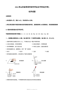 2024年山东省菏泽市中考化学真题（人教版·初三学业水平考试）
