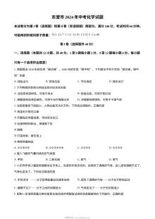 2024年山东省东营市初中学业水平考试化学真题（人教版）