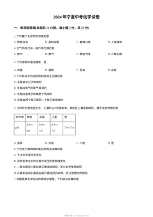 2024年宁夏回族自治区中考化学真题试卷（人教版·初三）