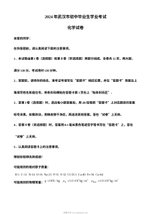 2024年湖北省武汉市中考化学真题（人教版）