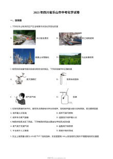 2023年四川省乐山市中考化学真题（原卷版）