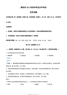2023年山东省泰安市中考化学真题（人教版·解析版）