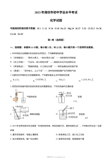 2023年山东省潍坊市中考化学真题（原卷版）