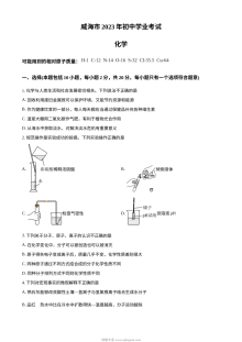 2023年山东省威海市中考化学真题（原卷版）