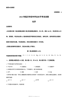 2023年山东省临沂市初中学业水平考试化学真题（原卷版）