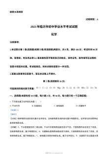 2023年山东省临沂市中考化学真题解析版（人教版）