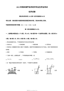 2023年辽宁省铁岭市、葫芦岛市中考化学真题（原卷版）