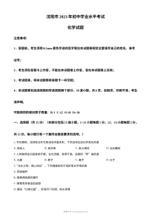 2023年辽宁省沈阳市中考化学真题原卷版（人教版）