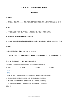 2023年辽宁省沈阳市中考化学真题解析版（人教版初三）